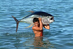 Tuna