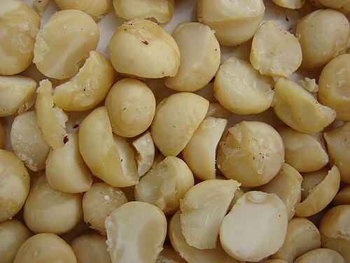 Macadamia-Nuts