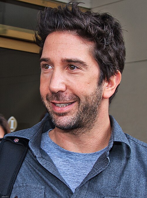 David Schwimmer Instagram