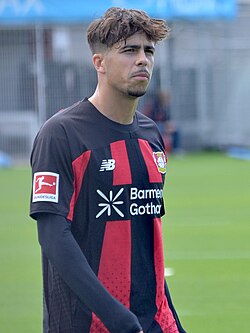 Afonso Moreira